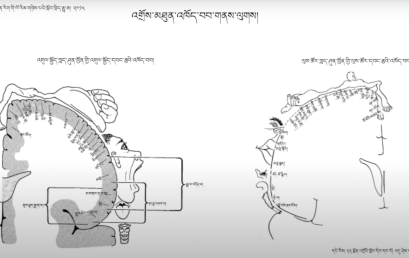 Neuroscience Course 2: Perception and Vision (~12h)
